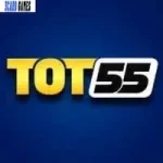 TOT55 Game