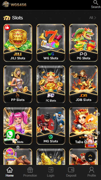 WGS456 Game